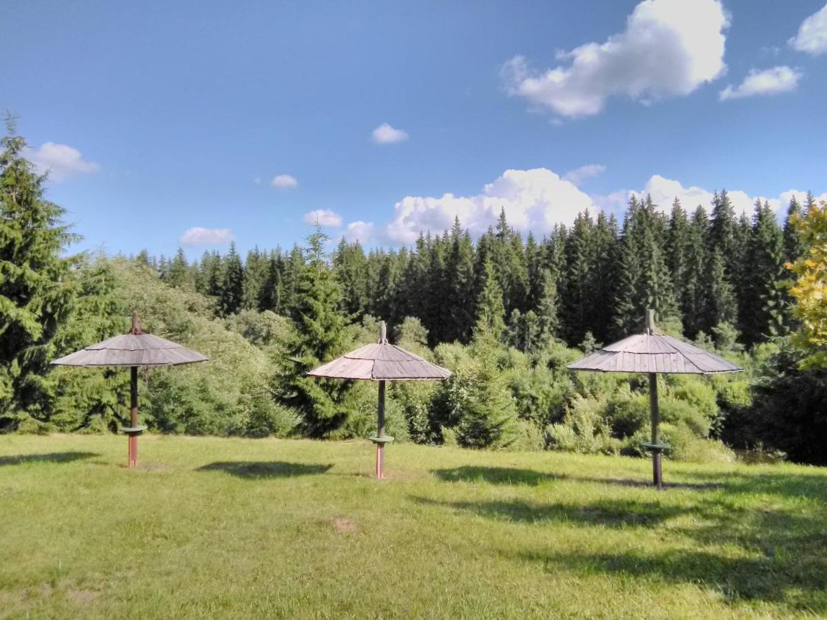 Casa Paltin Vila Si Cabane Poiana Stampei Ngoại thất bức ảnh