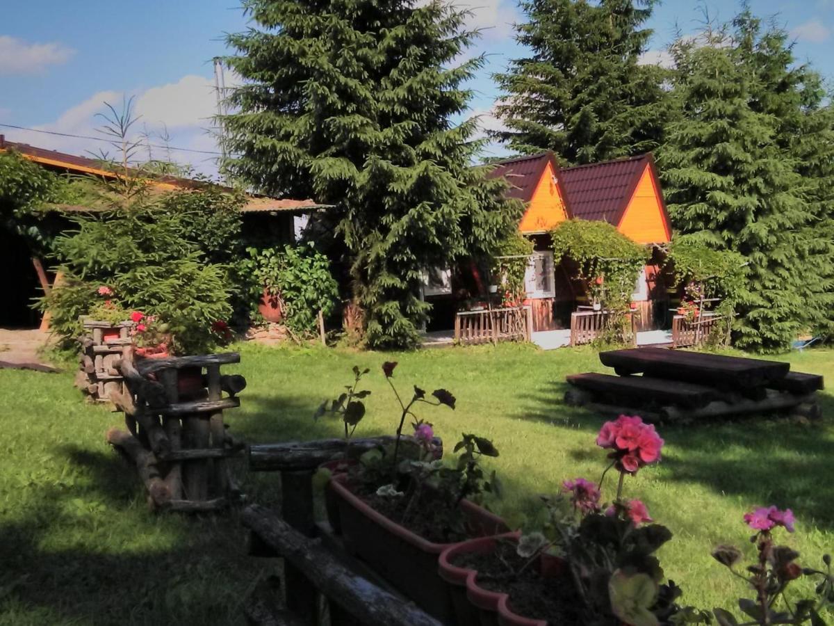 Casa Paltin Vila Si Cabane Poiana Stampei Ngoại thất bức ảnh