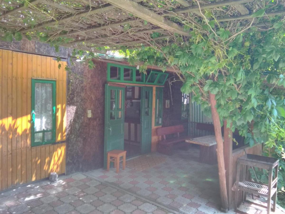 Casa Paltin Vila Si Cabane Poiana Stampei Ngoại thất bức ảnh
