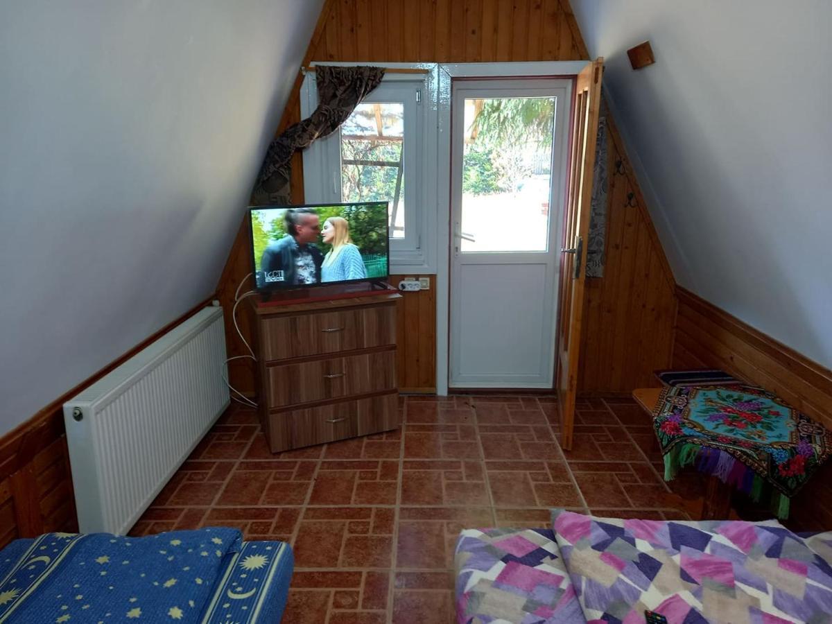 Casa Paltin Vila Si Cabane Poiana Stampei Ngoại thất bức ảnh