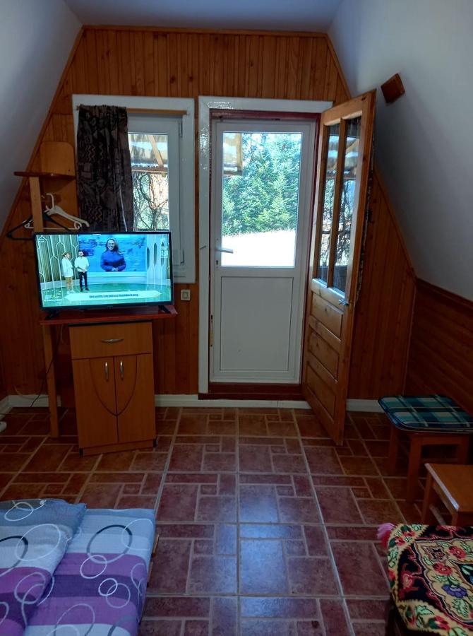 Casa Paltin Vila Si Cabane Poiana Stampei Ngoại thất bức ảnh
