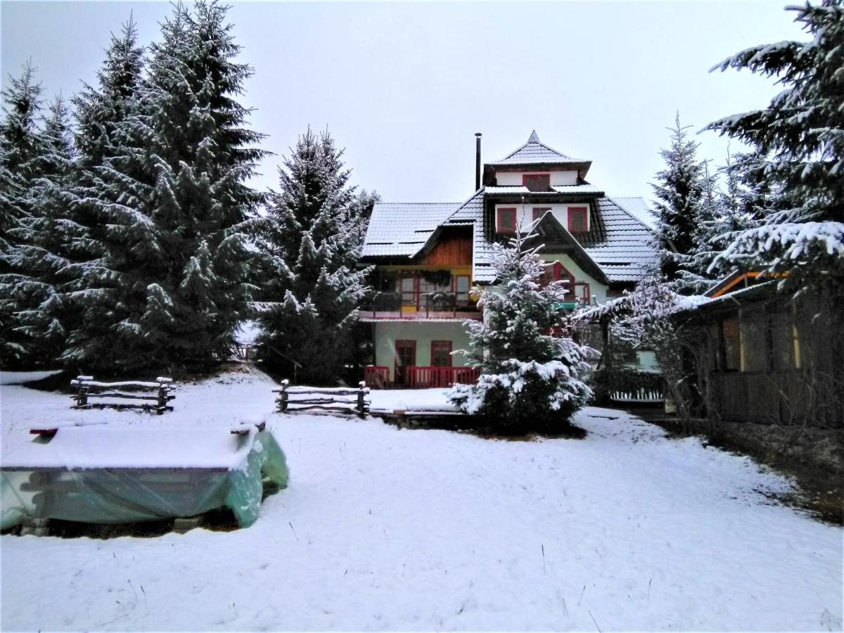 Casa Paltin Vila Si Cabane Poiana Stampei Ngoại thất bức ảnh