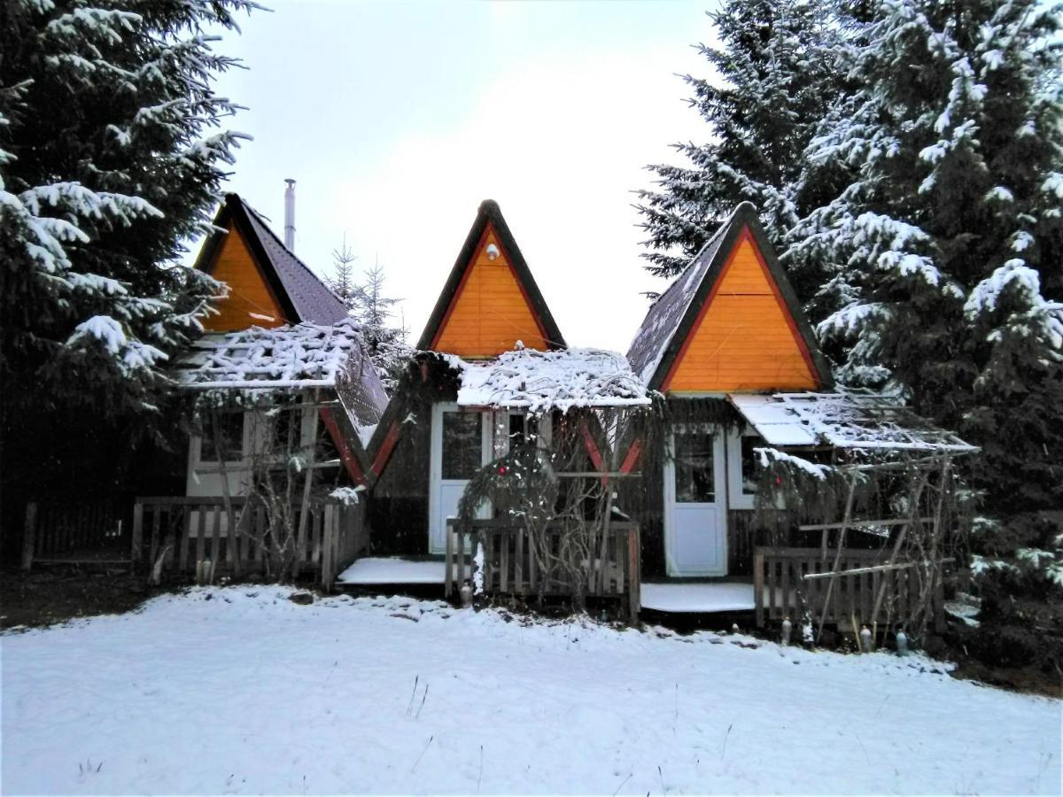 Casa Paltin Vila Si Cabane Poiana Stampei Ngoại thất bức ảnh
